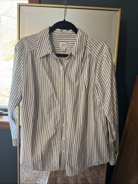 Isabel Maternity blue and white striped button up M